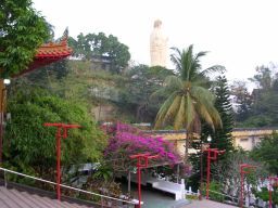 お寺と椰子の木写真